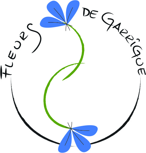 Fleurs de Garrigue